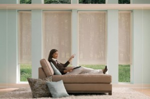Motorized Blinds and Shades