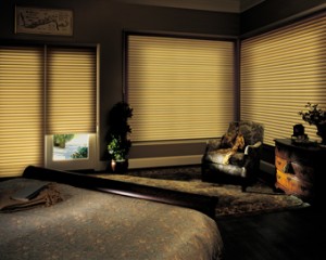 Window Treatment for Privacy