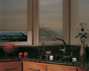Window Coverings to Maintain Your View