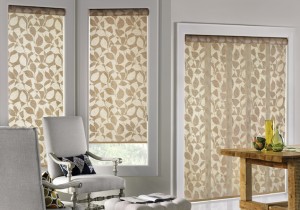 Roller and Screen Shades - Lake Ozark area